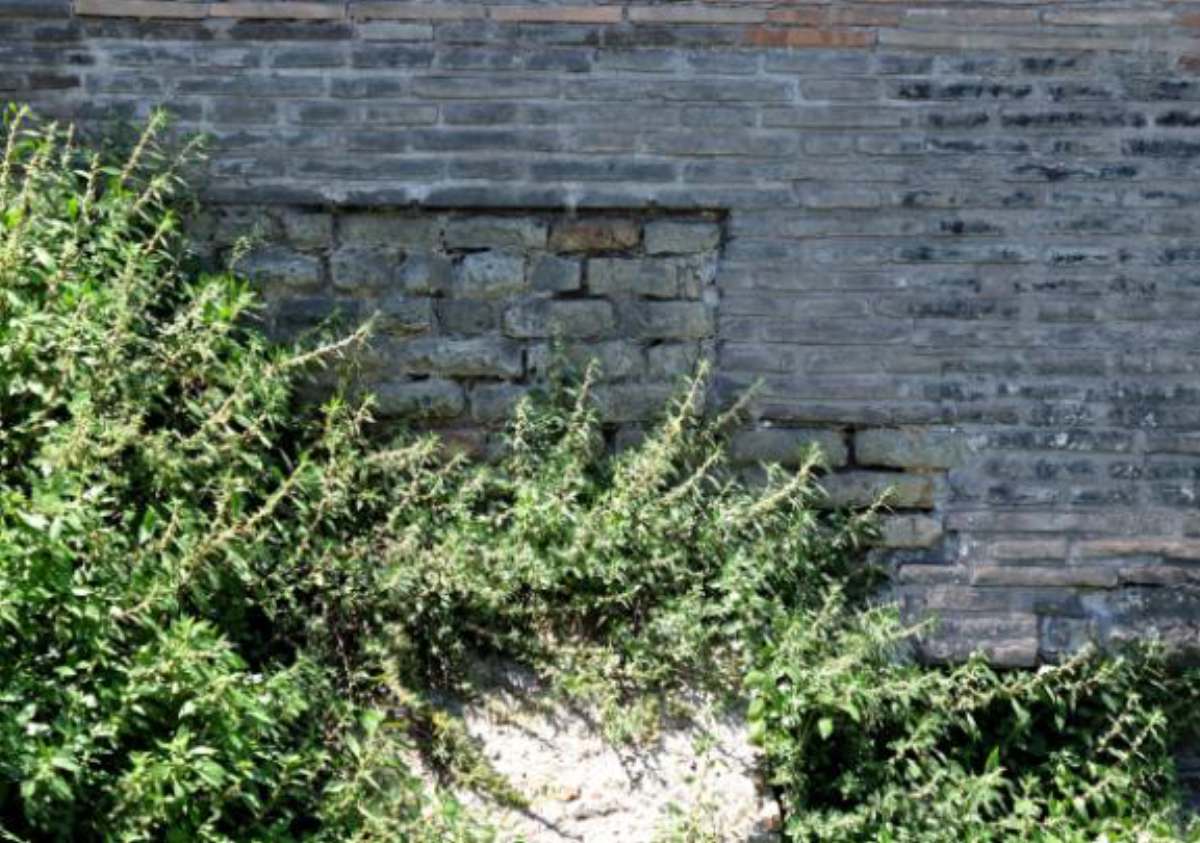 Abb. 466-NicolainCarcere_010.jpeg